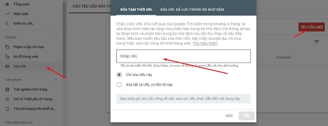 Xóa url của website với Google Console